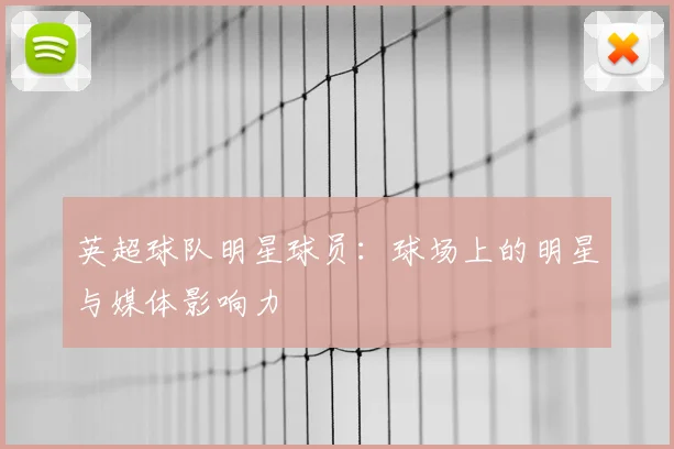 英超球队明星球员：球场上的明星与媒体影响力